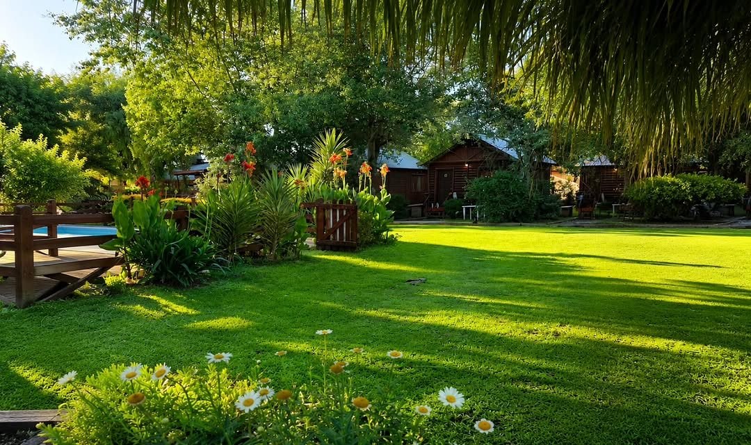 El césped y las flores, con las cabañas entre los árboles